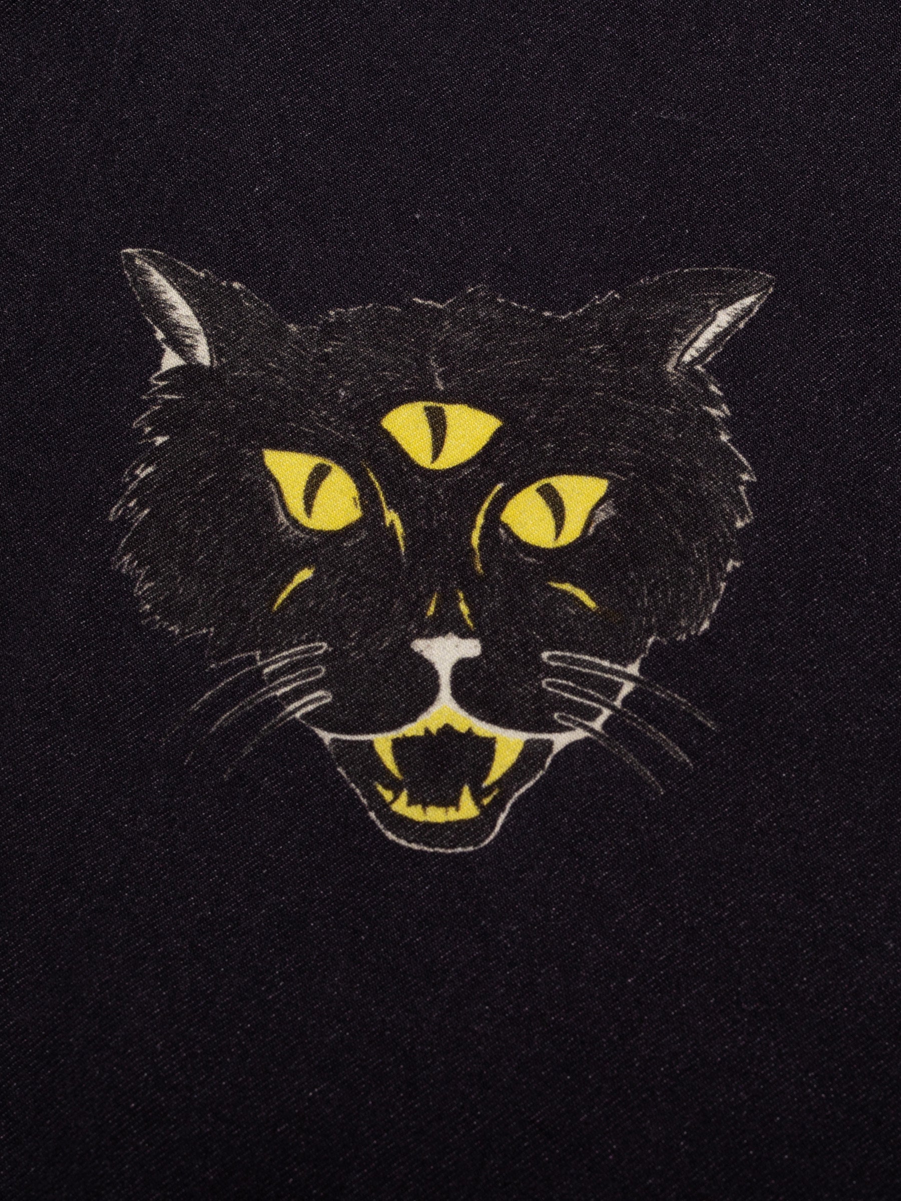 Arvid The Cat Hawaii Shirt
